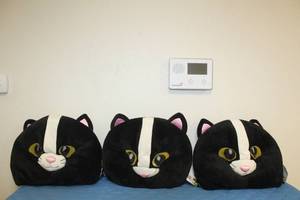 lot 172 image: LOT OF 3 LARGE EMOJINATION PLUSH MASH MASK